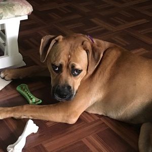 Meet your Posher, Wendy